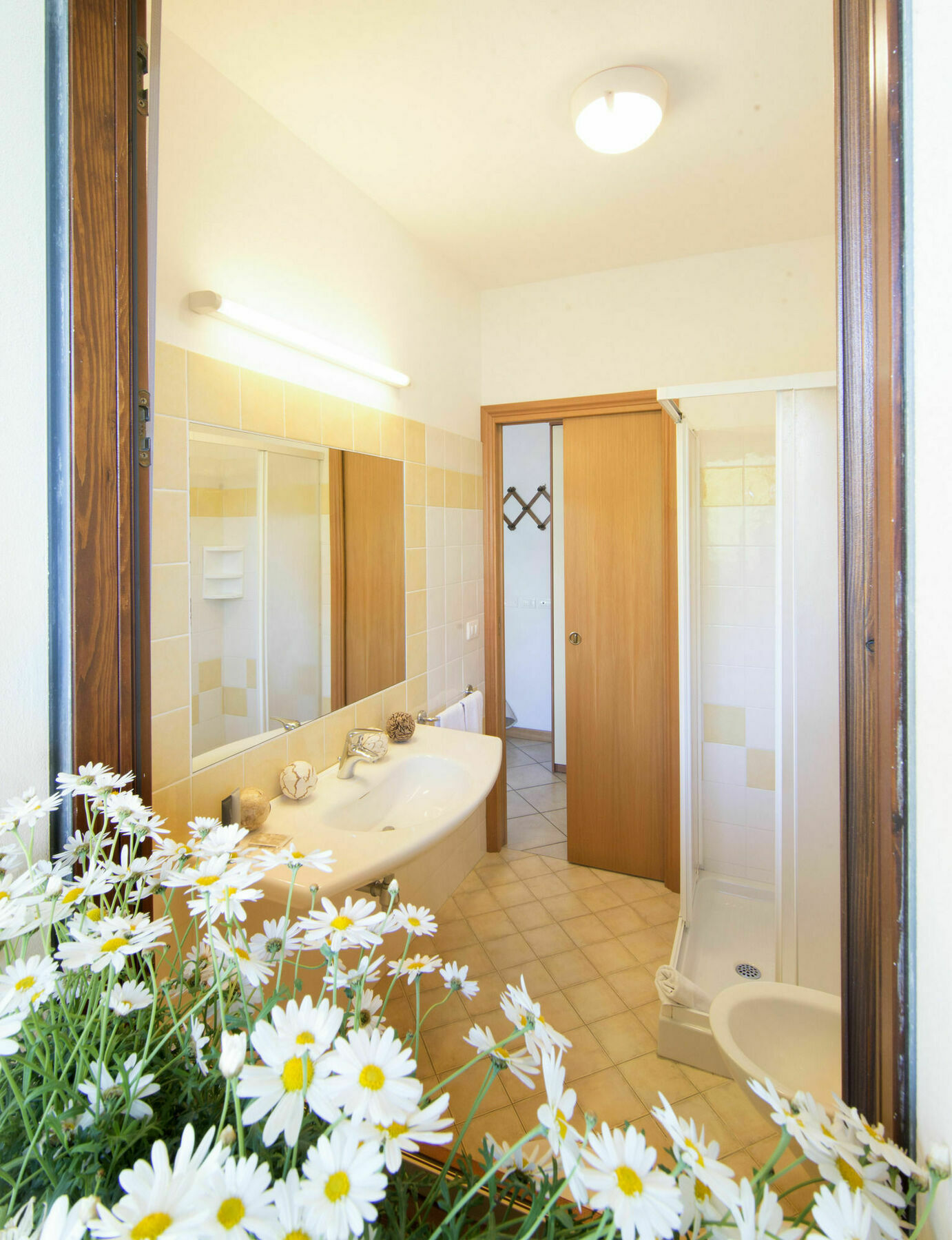 Residence Pineta Verde Milano Marittima Luaran gambar